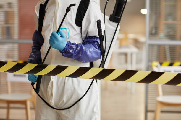 Professional Sewage Cleanup technician working in Hanover, IN